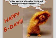 ᐅ lustige geburtstagsbilder - Prüfung GB Pics
