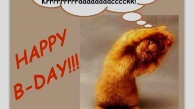 ᐅ lustige geburtstagsbilder - Geburtstag GB Pics