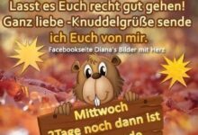 ᐅ mittwoch bilder herbst mittwoch - Schönen Abend GB Pics
