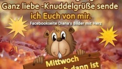 ᐅ mittwoch bilder herbst mittwoch - Mittwoch GB Pics