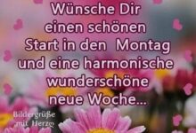 ᐅ montag bilder blumen - GB Pics
