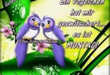 ᐅ montag bilder guten morgen - Urlaub GB Pics
