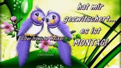 ᐅ montag bilder guten morgen - Montag GB Pics