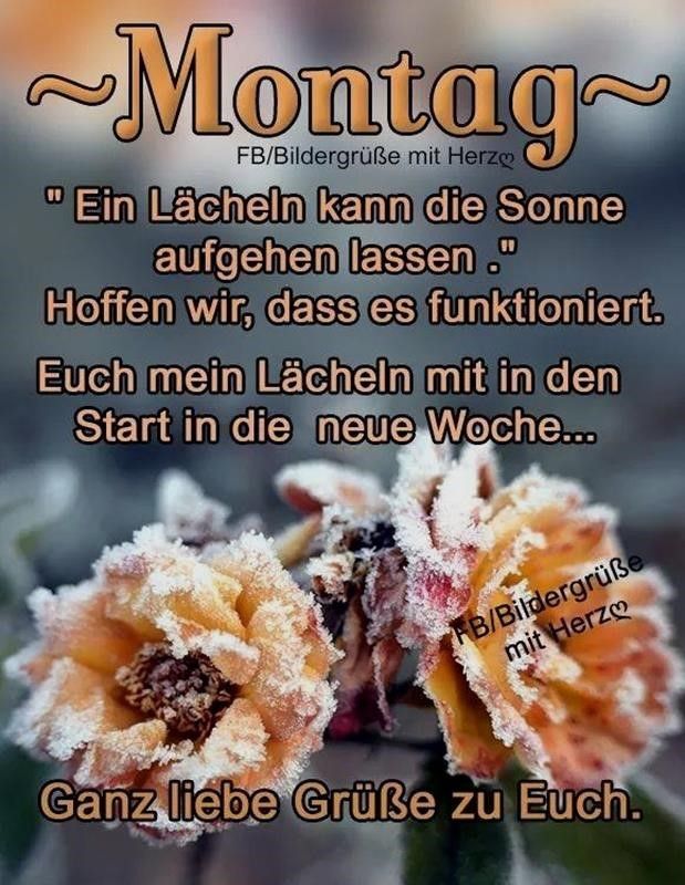 montag bilder mit spruch kostenlos