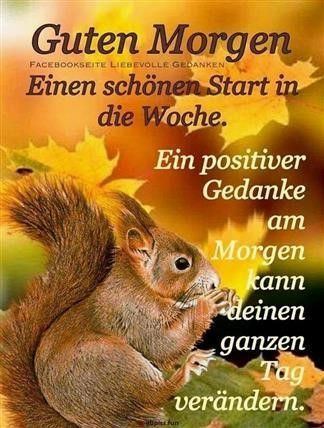 Montag bilder mit spruch kostenlos 002
