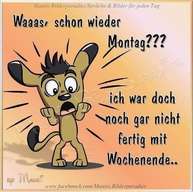 Montag bilder mit spruch kostenlos 011