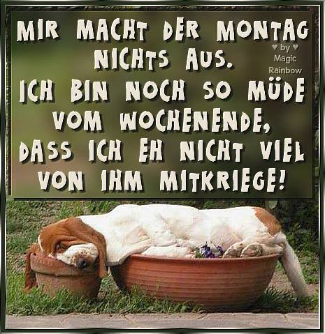 Montag bilder mit spruch kostenlos 013