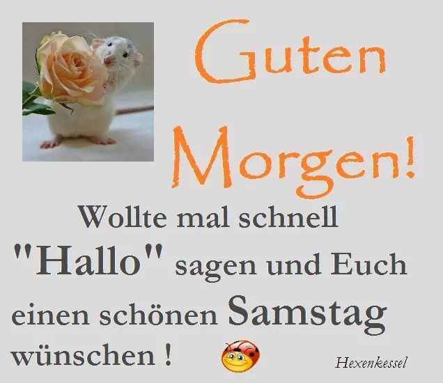 samstag bilder facebook