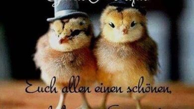 ᐅ sonntagsgruse lustig - Sonntag GB Pics