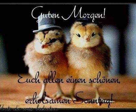 ᐅ sonntagsgruse lustig - Sonntag GB Pics Sonntagsgruse lustig 001