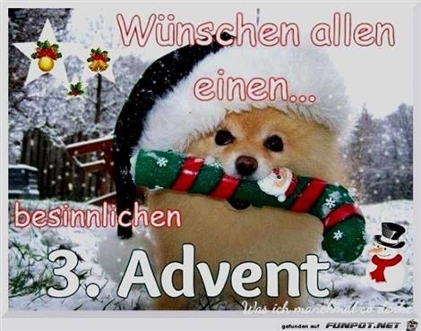 ᐅ witzige bilder zum 3 advent - Advent GB Pics