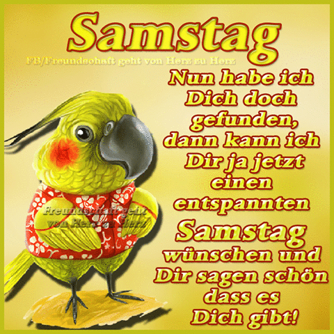 Dreamies samstag bilder 001