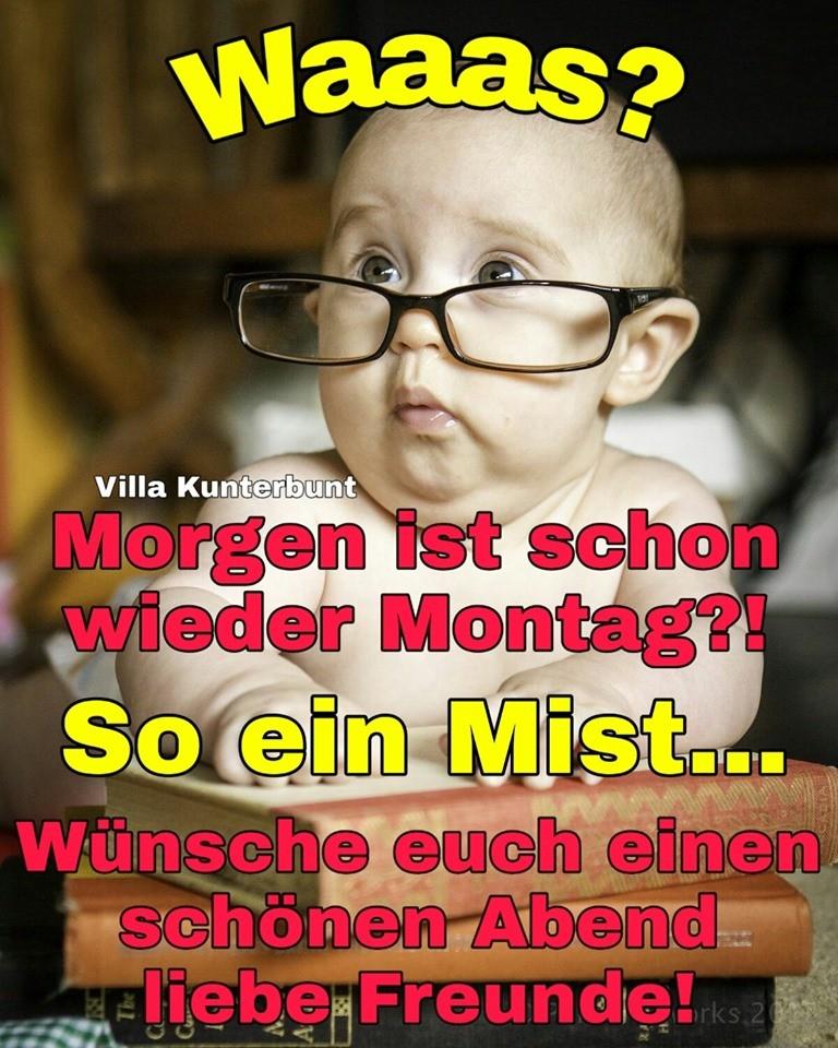 Montag bilder mit spruch kostenlos 029
