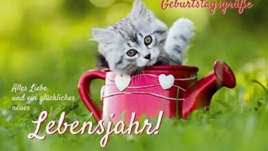ᐅ geburtstag bilder tiere - Geburtstag GB Pics