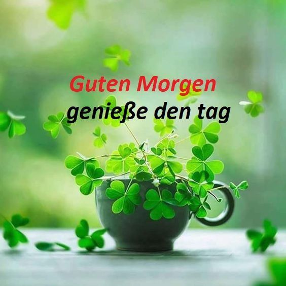 ᐅ geniese den tag guten morgen den geniese guten morgen tag den - Guten Morgen GB Pics Geniese den tag guten morgen den geniese guten morgen tag den 001