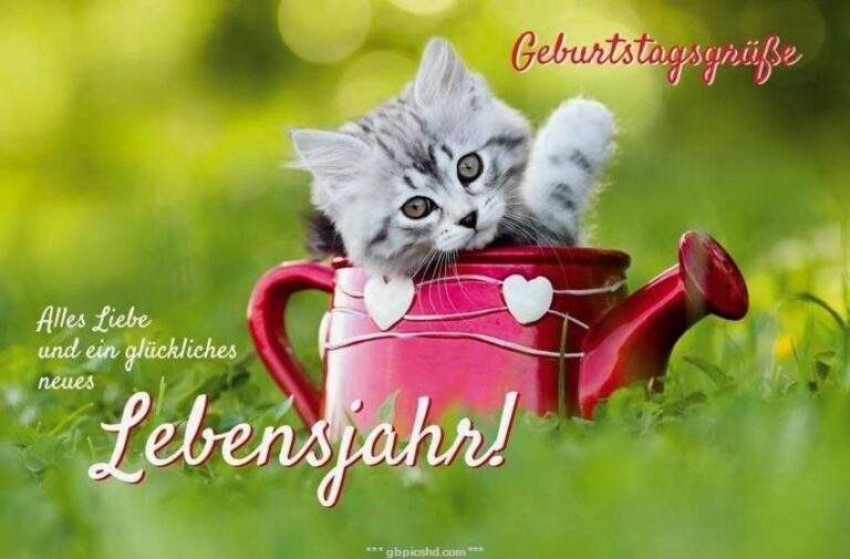 ᐅ geburtstag bilder tiere - Guten Morgen GB Pics geburtstag bilder tiere