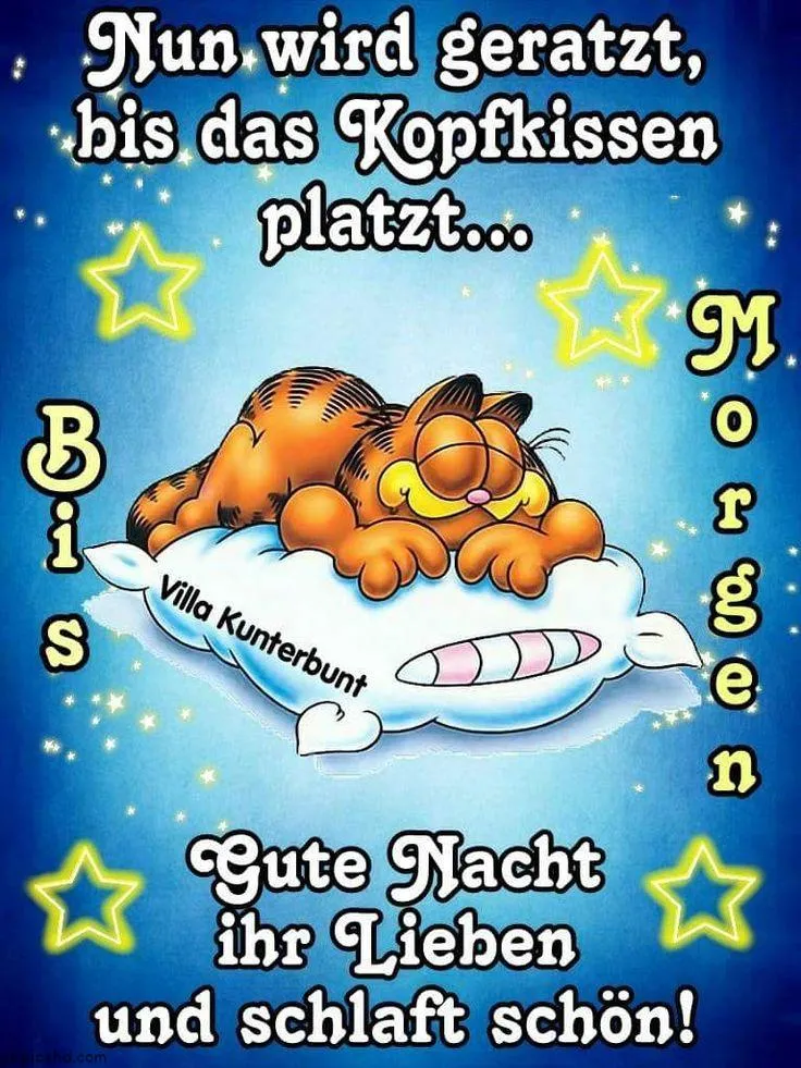 Garfield Gute Nacht Bild 5 Eine schlafende Katze auf einem Kissen mit dem Text "Gute Nacht" und bunten Sternen.