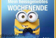 ᐅ minions sprüche wochenende - Samstag GB Pics