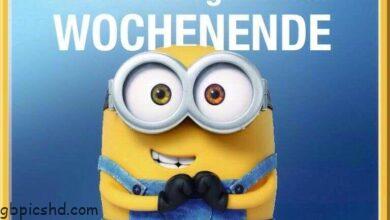 ᐅ minions sprüche wochenende - Wochenende Bilder GB Pics