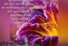 ᐅ guten morgen meine liebe tochter - Montag GB Pics