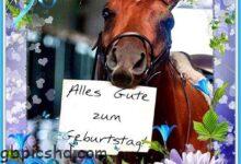 ᐅ Geburtstagsbilder Pferd - Geburtstag GB Pics