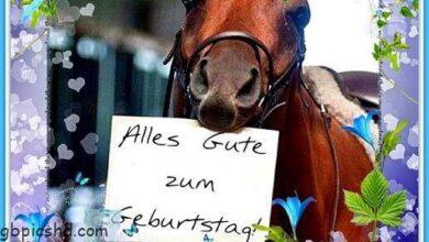 ᐅ Geburtstagsbilder Pferd - Geburtstag GB Pics