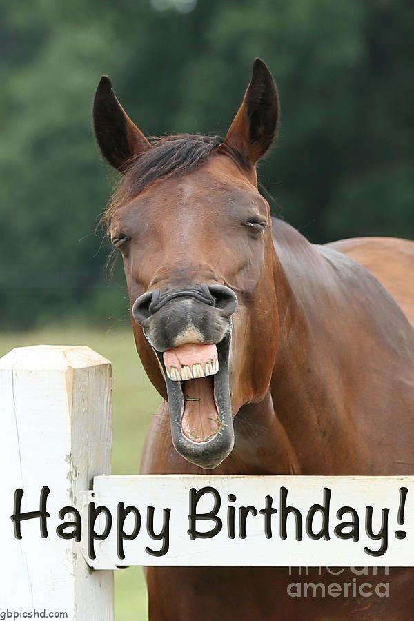 ᐅ Geburtstagsbilder Pferd - Geburtstag GB Pics