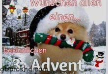 ᐅ 3 advent lustige bilder - Feste / Anlässe GB Pics