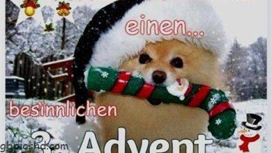 ᐅ 3 advent lustige bilder - Advent GB Pics