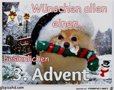 3 advent lustige bilder