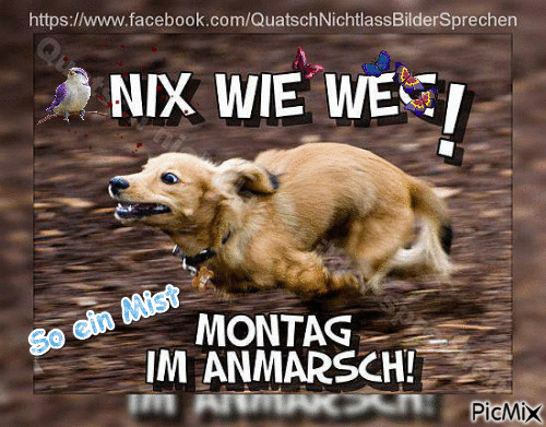 Montag im Anmarsch