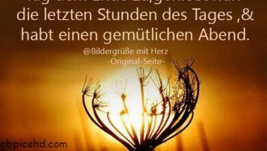ᐅ Bilder Für Einen Schonen Abend - Schönen Abend GB Pics