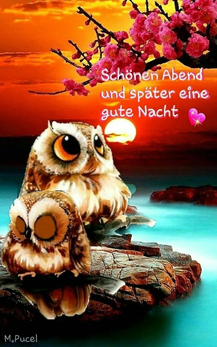 Zwei Eulen sitzen auf einem Holzstamm vor einem Sonnenuntergang und Kirschblüten.