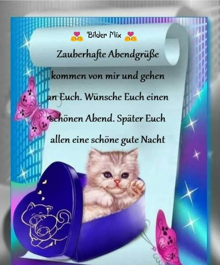 Eine Katzenillustration in einer Schachtel mit einem Schriftzug über Abendgrüße.