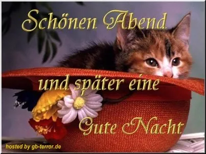 Eine Katze liegt in einem Hut mit Blumen. Darauf steht "Schönen Abend und später eine Gute Nacht".