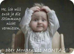 baby montag bilder babymontagbilder montag 2
