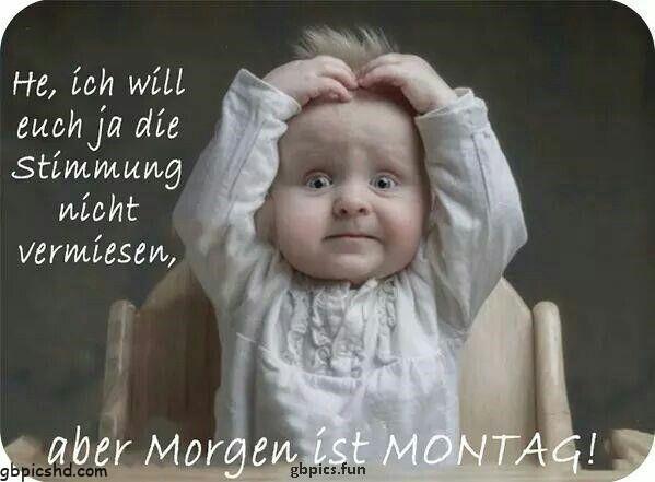 baby montag bilder babymontagbilder montag 2