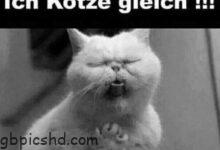 ᐅ bald montag bilder - Geburtstag GB Pics