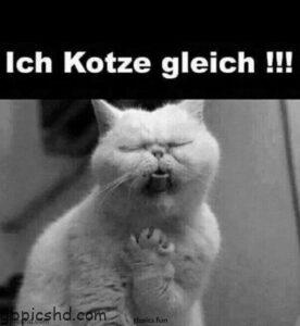 bald montag bilder
