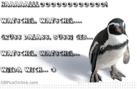 Ein Pinguin steht auf einem weißen Hintergrund mit Text in bunten Buchstaben.