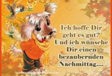 ᐅ Bilder Bezaubernden Nachmittag - GB Pics