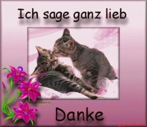 Bilder Danke Für Den Nachmittag