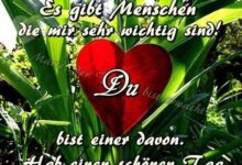 ᐅ Bilder Danke Für Den Schönen Nachmittag - Donnerstag GB Pics