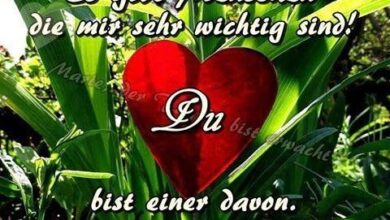 ᐅ Bilder Danke Für Den Schönen Nachmittag - Nachmittag GB Pics
