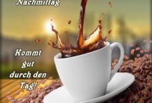 ᐅ Bilder Einen Schönen Nachmittag - GB Pics