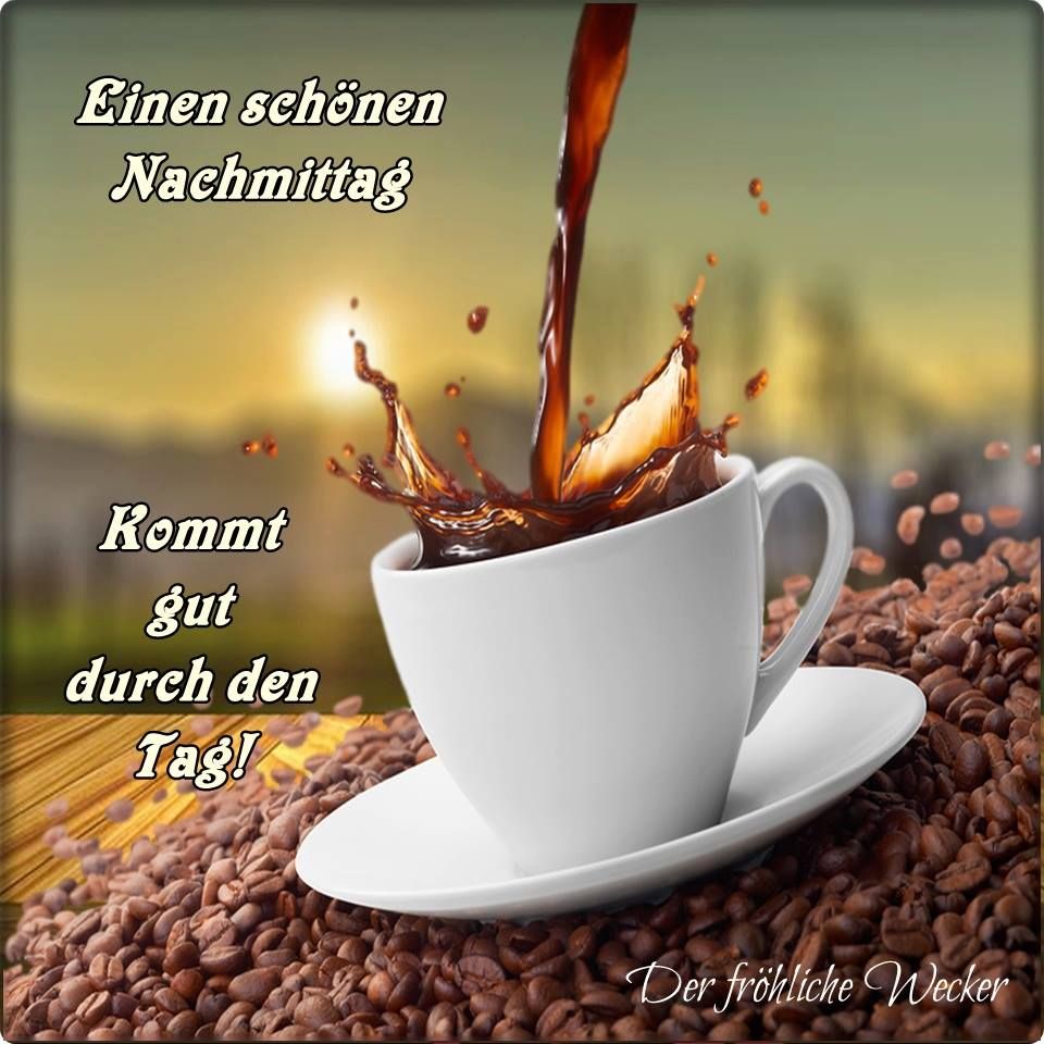 Die Schonsten Kostenlosen Whatsapp Bilder Fur Einen Schonen Nachmittag Gratis Downloadfeed