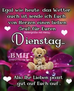 Bilder für einen schönen Dienstag