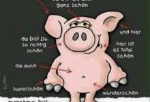 ᐅ bilder geburtstag lustig - Donnerstag GB Pics