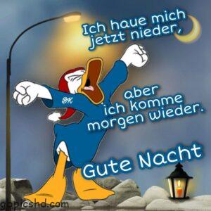 bilder gute nacht lustig
