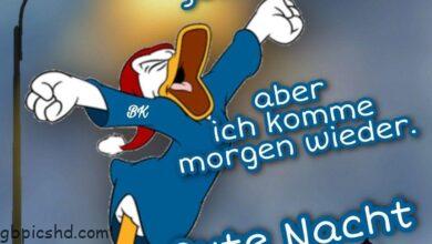 ᐅ bilder gute nacht lustig - Gute Nacht GB Pics